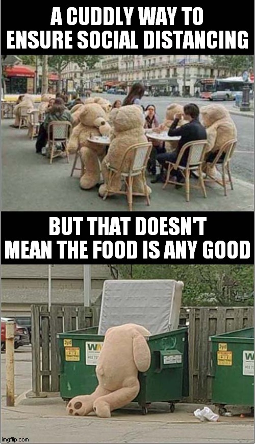 Bearly Edible Fare | A CUDDLY WAY TO ENSURE SOCIAL DISTANCING; BUT THAT DOESN'T MEAN THE FOOD IS ANY GOOD | image tagged in fun,social distancing,teddy bear | made w/ Imgflip meme maker