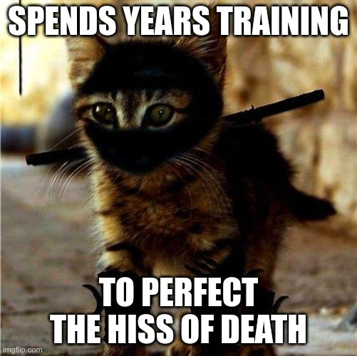 The Way of the Ninjat 5 | SPENDS YEARS TRAINING; TO PERFECT THE HISS OF DEATH | image tagged in ninja cat | made w/ Imgflip meme maker