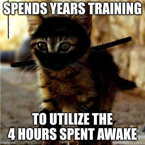 The Way of the Ninjat 6 | SPENDS YEARS TRAINING; TO UTILIZE THE 4 HOURS SPENT AWAKE | image tagged in ninja cat | made w/ Imgflip meme maker