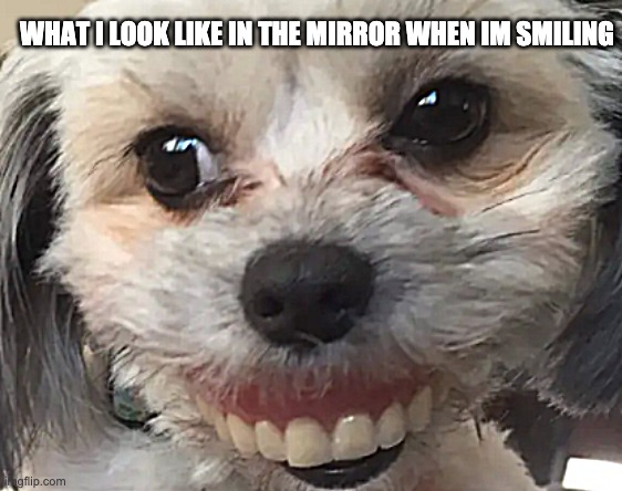 WHAT I LOOK LIKE IN THE MIRROR WHEN IM SMILING | image tagged in funny | made w/ Imgflip meme maker