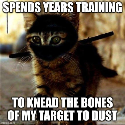 The Way of the Ninjat 7 | SPENDS YEARS TRAINING; TO KNEAD THE BONES OF MY TARGET TO DUST | image tagged in ninja cat | made w/ Imgflip meme maker