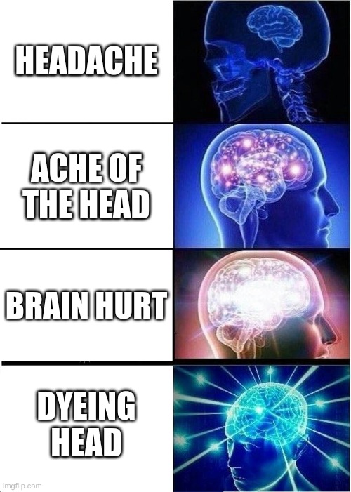 Expanding Brain | HEADACHE; ACHE OF THE HEAD; BRAIN HURT; DYEING HEAD | image tagged in memes,expanding brain | made w/ Imgflip meme maker