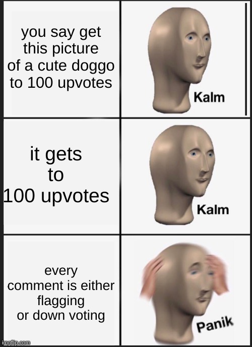 yall dont wanna see a cute dog | you say get this picture of a cute doggo to 100 upvotes; it gets to 100 upvotes; every comment is either flagging or down voting | image tagged in memes,panik kalm panik | made w/ Imgflip meme maker