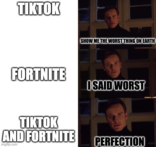 perfection | TIKTOK; SHOW ME THE WORST THING ON EARTH; FORTNITE; I SAID WORST; TIKTOK AND FORTNITE; PERFECTION | image tagged in perfection | made w/ Imgflip meme maker