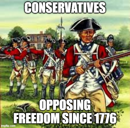 FREEDOM | CONSERVATIVES; OPPOSING FREEDOM SINCE 1776 | image tagged in freedom | made w/ Imgflip meme maker