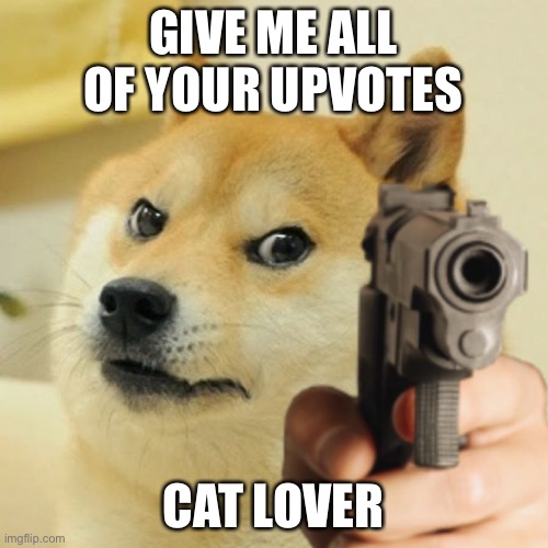 Doge holding a gun | GIVE ME ALL OF YOUR UPVOTES; CAT LOVER | image tagged in doge holding a gun,cats | made w/ Imgflip meme maker
