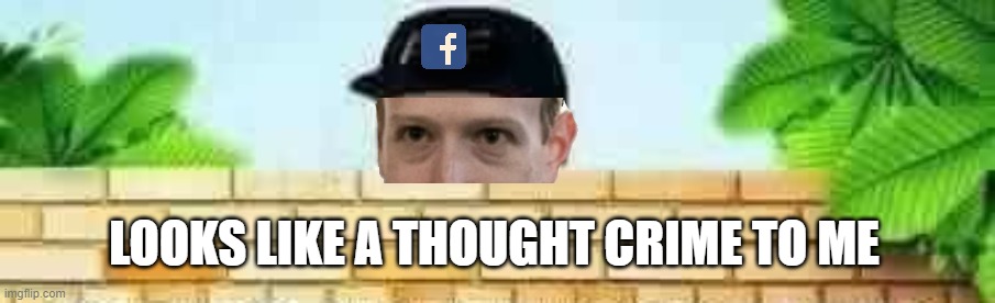 So I got a hate speech warning by Zucc yesterday... | LOOKS LIKE A THOUGHT CRIME TO ME | image tagged in thought crime,facebook,zucc,hate speech,bullshit | made w/ Imgflip meme maker