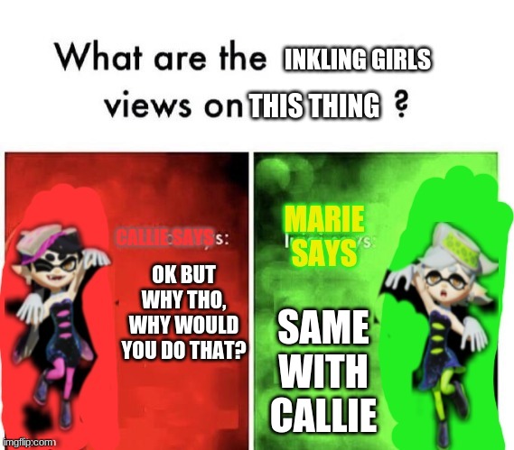 Callie and Marie's views on | OK BUT WHY THO, WHY WOULD YOU DO THAT? SAME WITH CALLIE THIS THING | image tagged in callie and marie's views on | made w/ Imgflip meme maker