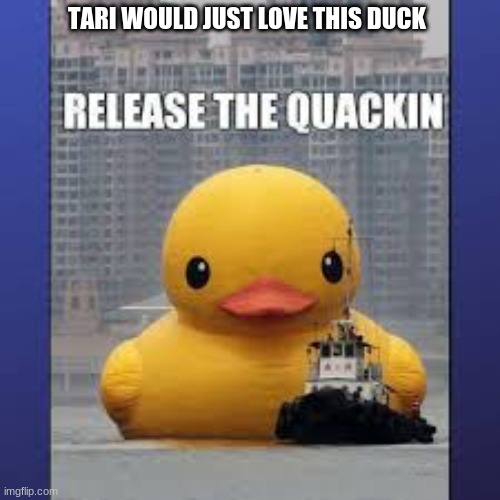 TARI WOULD JUST LOVE THIS DUCK | made w/ Imgflip meme maker