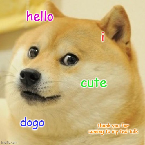 He so cute | hello; i; cute; dogo; thank you for coming to my ted talk | image tagged in memes,doge,funny memes,funny,cute,cute dog | made w/ Imgflip meme maker