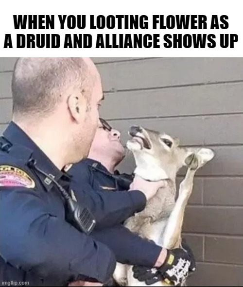 druid herbalism | WHEN YOU LOOTING FLOWER AS A DRUID AND ALLIANCE SHOWS UP | image tagged in funny,gaming,world of warcraft,lol,deer | made w/ Imgflip meme maker