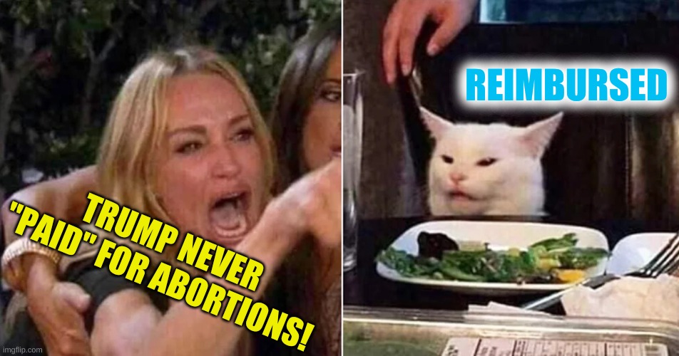 there IS a difference | REIMBURSED; TRUMP NEVER "PAID" FOR ABORTIONS! | image tagged in woman yelling at cat cropped,trump reimbursed abortions,abortion,conservative hypocrisy,trump 2020 | made w/ Imgflip meme maker