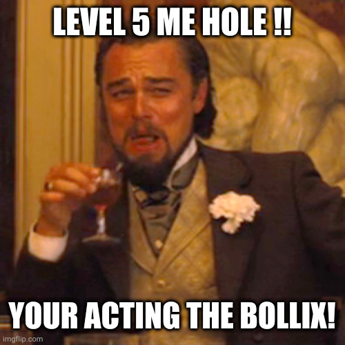 Laughing Leo Meme | LEVEL 5 ME HOLE !! YOUR ACTING THE BOLLIX! | image tagged in memes,laughing leo | made w/ Imgflip meme maker
