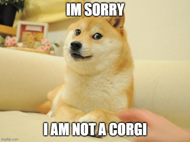 Doge 2 Meme | IM SORRY I AM NOT A CORGI | image tagged in memes,doge 2 | made w/ Imgflip meme maker