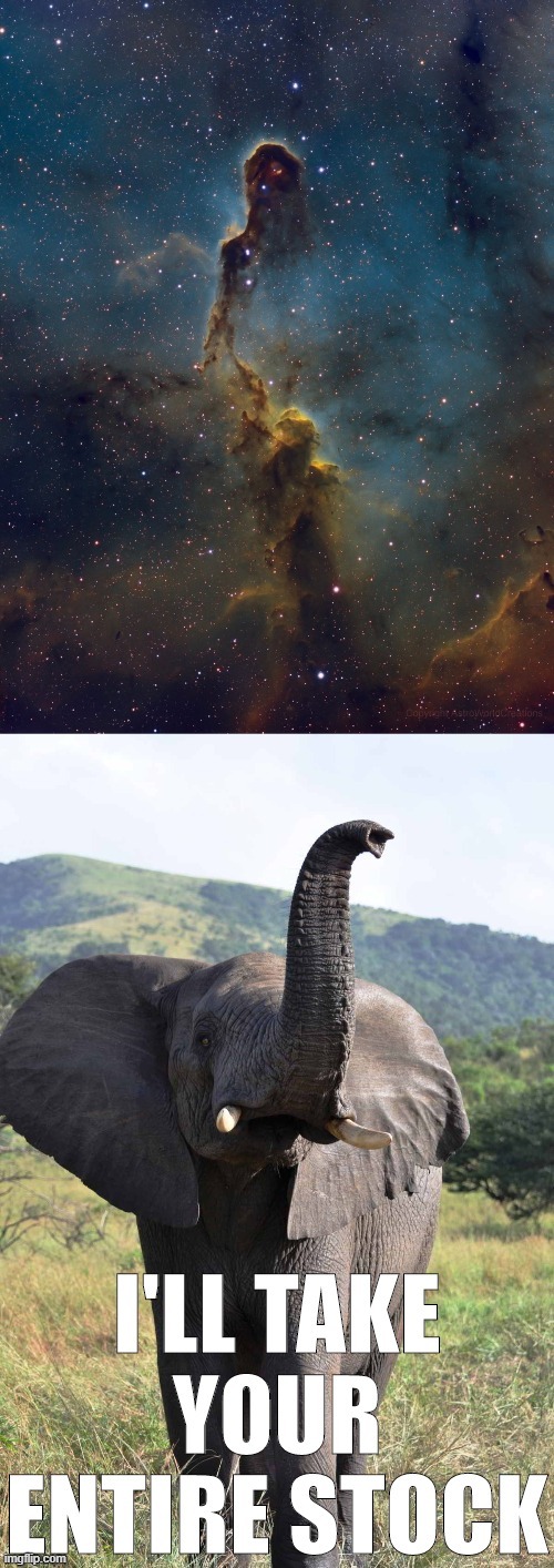 eyyy seein' it? | image tagged in nebula,elephant,astronomy | made w/ Imgflip meme maker