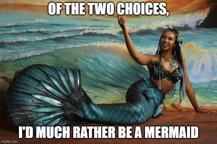 OF THE TWO CHOICES, I'D MUCH RATHER BE A MERMAID | made w/ Imgflip meme maker