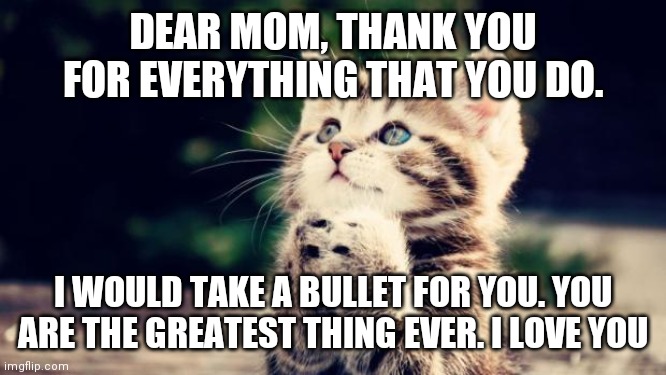 I love you Mommy ❣️❣️ | DEAR MOM, THANK YOU FOR EVERYTHING THAT YOU DO. I WOULD TAKE A BULLET FOR YOU. YOU ARE THE GREATEST THING EVER. I LOVE YOU | image tagged in cute kitten | made w/ Imgflip meme maker
