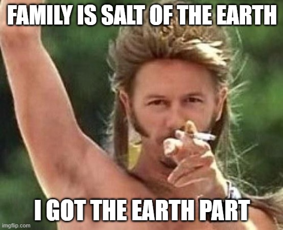 Joe dirt | FAMILY IS SALT OF THE EARTH; I GOT THE EARTH PART | image tagged in joe dirt | made w/ Imgflip meme maker