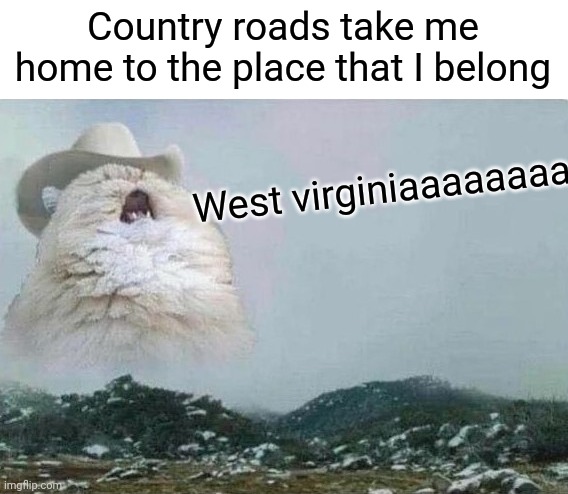 I bet you have this stuck in your head now | Country roads take me home to the place that I belong; West virginiaaaaaaaa | image tagged in country cat,memes,country music,funny | made w/ Imgflip meme maker