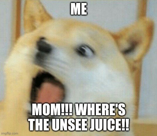 ME MOM!!! WHERE'S THE UNSEE JUICE!! | made w/ Imgflip meme maker