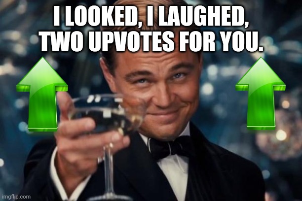 Leonardo Dicaprio Cheers Meme | I LOOKED, I LAUGHED, TWO UPVOTES FOR YOU. | image tagged in memes,leonardo dicaprio cheers | made w/ Imgflip meme maker