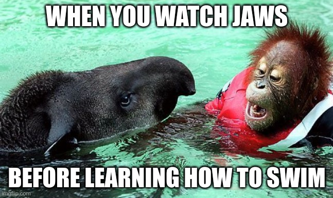 Swimming Lesson | WHEN YOU WATCH JAWS; BEFORE LEARNING HOW TO SWIM | image tagged in orangutan,swimming,memes | made w/ Imgflip meme maker