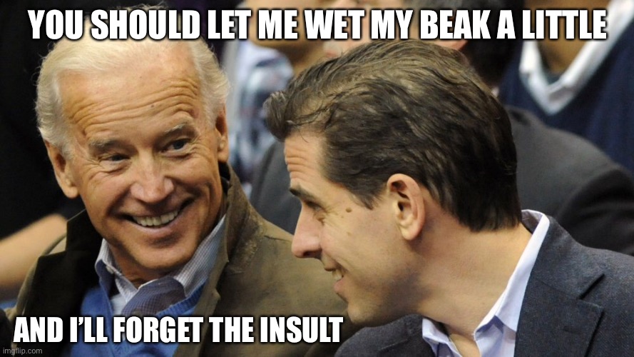 Joe Corleone? | YOU SHOULD LET ME WET MY BEAK A LITTLE; AND I’LL FORGET THE INSULT | image tagged in joe biden,godfather,hunter | made w/ Imgflip meme maker