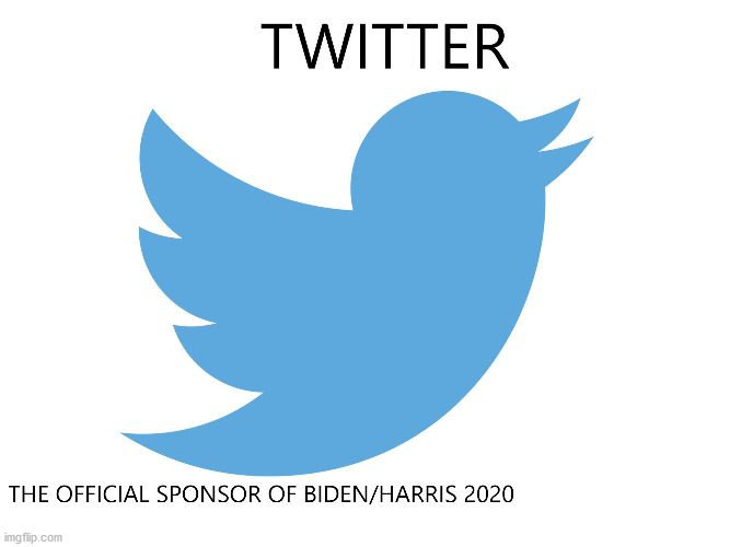 Twitter announces its sponsorship for President | image tagged in joe biden,twitter birds says,election 2020,trump 2016,trump 2020 | made w/ Imgflip meme maker