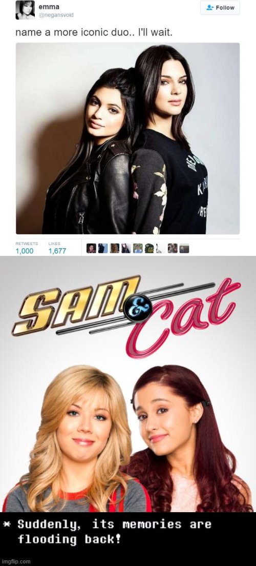 image tagged in name a more iconic duo,suddenly the memories are flooding back,sam and cat | made w/ Imgflip meme maker