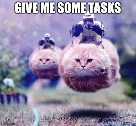 give me stuff to do | GIVE ME SOME TASKS | image tagged in storm trooper cats | made w/ Imgflip meme maker