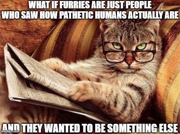 Philosophy cat | WHAT IF FURRIES ARE JUST PEOPLE WHO SAW HOW PATHETIC HUMANS ACTUALLY ARE; AND THEY WANTED TO BE SOMETHING ELSE | image tagged in philosophy cat,furries | made w/ Imgflip meme maker