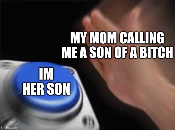 Blank Nut Button Meme | MY MOM CALLING ME A SON OF A BITCH; IM HER SON | image tagged in memes,blank nut button | made w/ Imgflip meme maker