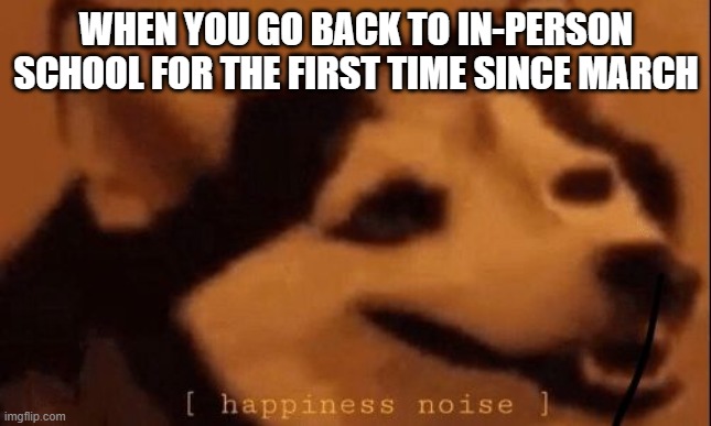 [happiness noise] | WHEN YOU GO BACK TO IN-PERSON SCHOOL FOR THE FIRST TIME SINCE MARCH | image tagged in happiness noise | made w/ Imgflip meme maker