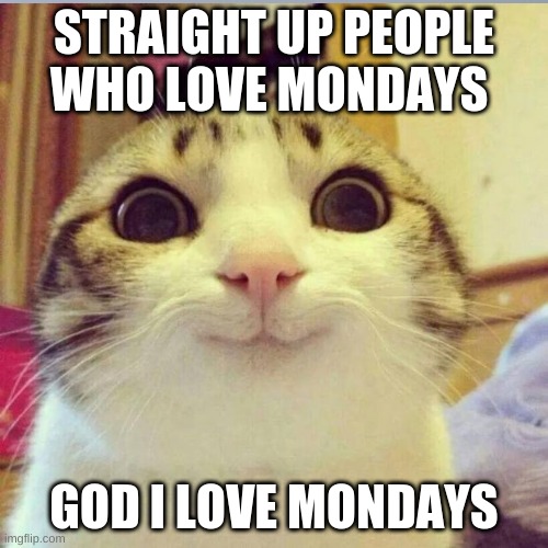 mondays | STRAIGHT UP PEOPLE WHO LOVE MONDAYS; GOD I LOVE MONDAYS | image tagged in funny,cats,monday | made w/ Imgflip meme maker