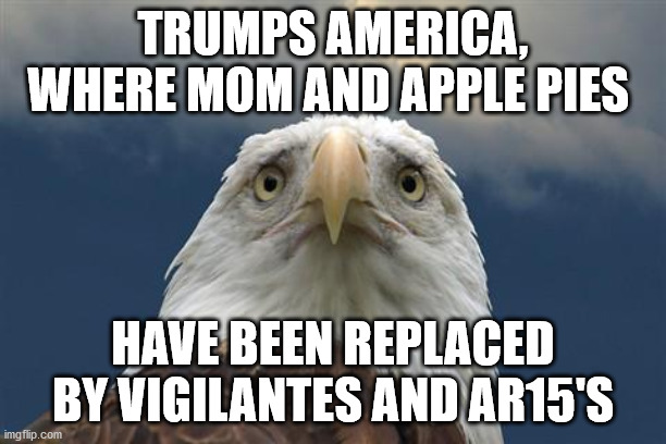 Trumps America | TRUMPS AMERICA, WHERE MOM AND APPLE PIES; HAVE BEEN REPLACED BY VIGILANTES AND AR15'S | image tagged in sad american eagle,trump,biden,election 2020 | made w/ Imgflip meme maker
