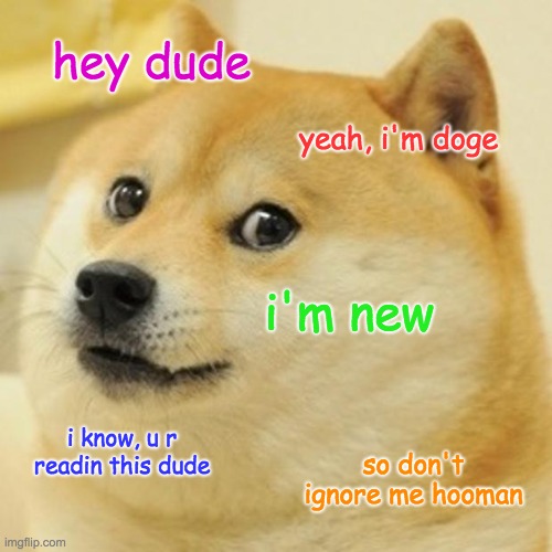 don't ignore this hooman | hey dude; yeah, i'm doge; i'm new; i know, u r readin this dude; so don't ignore me hooman | image tagged in memes,doge | made w/ Imgflip meme maker