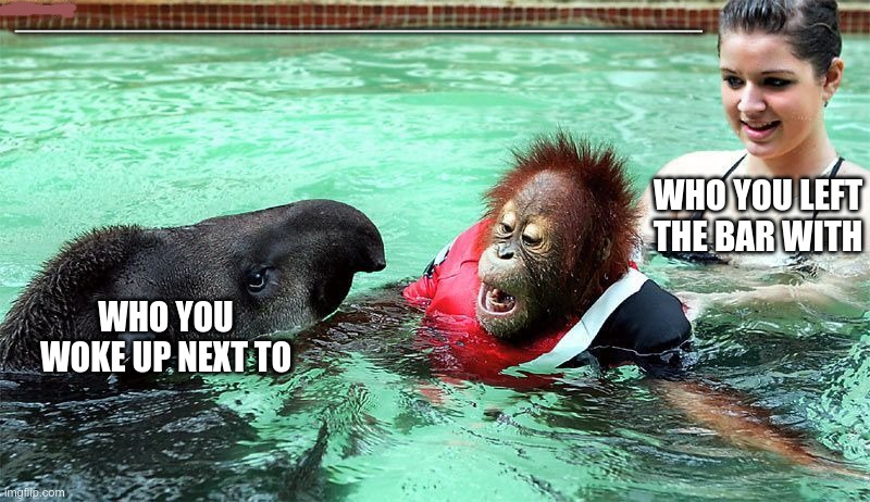 The Morning After | ____________________________________________; WHO YOU LEFT THE BAR WITH; WHO YOU WOKE UP NEXT TO | image tagged in orangutan,swimming,memes | made w/ Imgflip meme maker