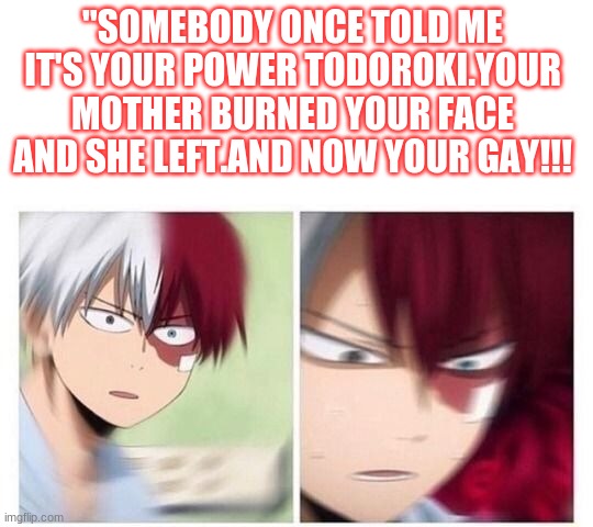 Omg | "SOMEBODY ONCE TOLD ME IT'S YOUR POWER TODOROKI.YOUR MOTHER BURNED YOUR FACE AND SHE LEFT.AND NOW YOUR GAY!!! | image tagged in todoroki | made w/ Imgflip meme maker