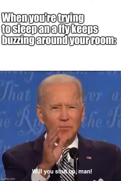 Flies | When you're trying to sleep an a fly keeps buzzing around your room: | image tagged in will you shut up man,biden,flies,joe biden | made w/ Imgflip meme maker
