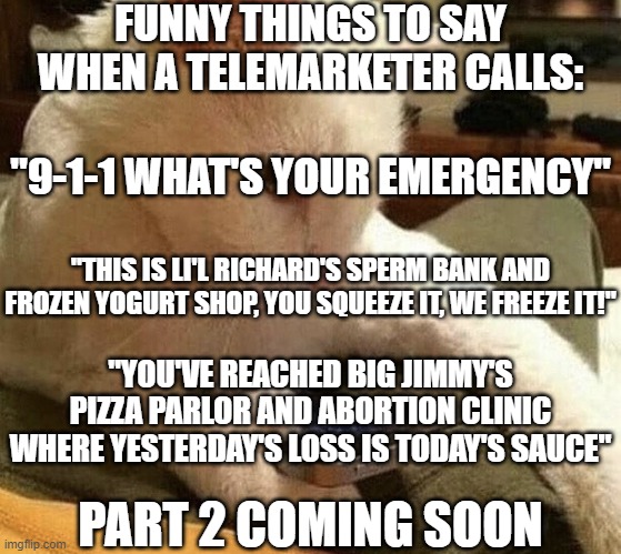 Cat phone | FUNNY THINGS TO SAY WHEN A TELEMARKETER CALLS:; "9-1-1 WHAT'S YOUR EMERGENCY"; "THIS IS LI'L RICHARD'S SPERM BANK AND FROZEN YOGURT SHOP, YOU SQUEEZE IT, WE FREEZE IT!"; "YOU'VE REACHED BIG JIMMY'S PIZZA PARLOR AND ABORTION CLINIC WHERE YESTERDAY'S LOSS IS TODAY'S SAUCE"; PART 2 COMING SOON | image tagged in cat phone,dark humor | made w/ Imgflip meme maker
