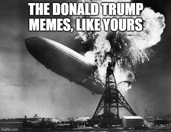 Hindenburg | THE DONALD TRUMP MEMES, LIKE YOURS | image tagged in hindenburg | made w/ Imgflip meme maker