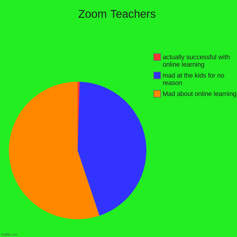 Zoooooooooooom | Zoom Teachers | Mad about online learning, mad at the kids for no reason, actually successful with online learning | image tagged in charts,pie charts | made w/ Imgflip chart maker