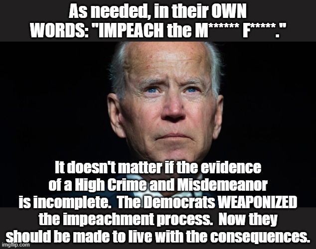 What's good for the goose.... | As needed, in their OWN WORDS: "IMPEACH the M****** F*****."; It doesn't matter if the evidence of a High Crime and Misdemeanor is incomplete.  The Democrats WEAPONIZED the impeachment process.  Now they should be made to live with the consequences. | image tagged in joe biden,biden,creepy joe biden | made w/ Imgflip meme maker