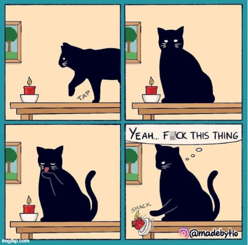 Me on a daily basis. | made w/ Imgflip meme maker