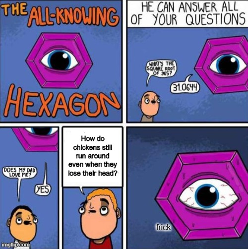 CUZ HECK YEA | How do chickens still run around even when they lose their head? frick | image tagged in all knowing hexagon original | made w/ Imgflip meme maker