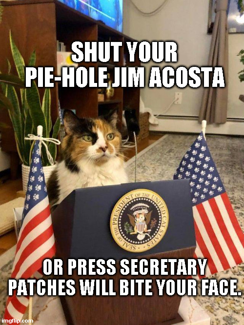 Press Secretary Patches | SHUT YOUR PIE-HOLE JIM ACOSTA; OR PRESS SECRETARY PATCHES WILL BITE YOUR FACE. | image tagged in cat,jim acosta | made w/ Imgflip meme maker