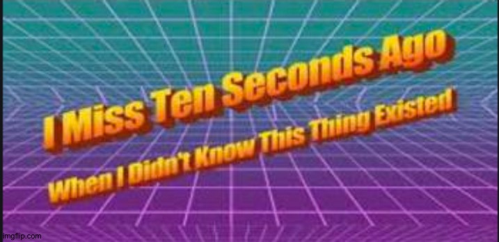 I miss ten seconds ago when I didn't know this thing existed. | image tagged in i miss ten seconds ago when i didn't know this thing existed | made w/ Imgflip meme maker