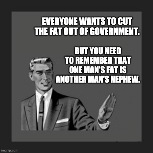 Fat in government | EVERYONE WANTS TO CUT THE FAT OUT OF GOVERNMENT. BUT YOU NEED TO REMEMBER THAT ONE MAN'S FAT IS ANOTHER MAN'S NEPHEW. | image tagged in memes,kill yourself guy | made w/ Imgflip meme maker