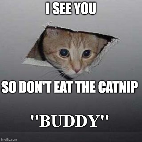 Ceiling Cat | I SEE YOU; SO DON'T EAT THE CATNIP; ''BUDDY'' | image tagged in memes,ceiling cat | made w/ Imgflip meme maker