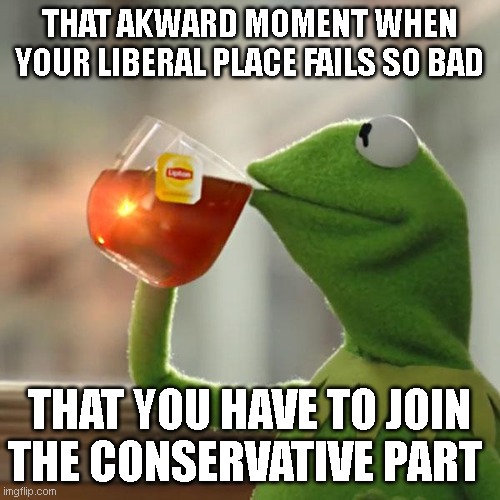 But That's None Of My Business Meme | THAT AKWARD MOMENT WHEN YOUR LIBERAL PLACE FAILS SO BAD THAT YOU HAVE TO JOIN THE CONSERVATIVE PART | image tagged in memes,but that's none of my business,kermit the frog | made w/ Imgflip meme maker